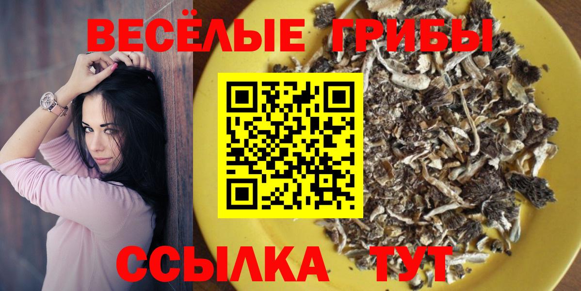 Галлюциногенные грибы Magic Shrooms  Галлюциногенные грибы MAGIC MUSHROOMS  Кандалакша  Вход с VPN 